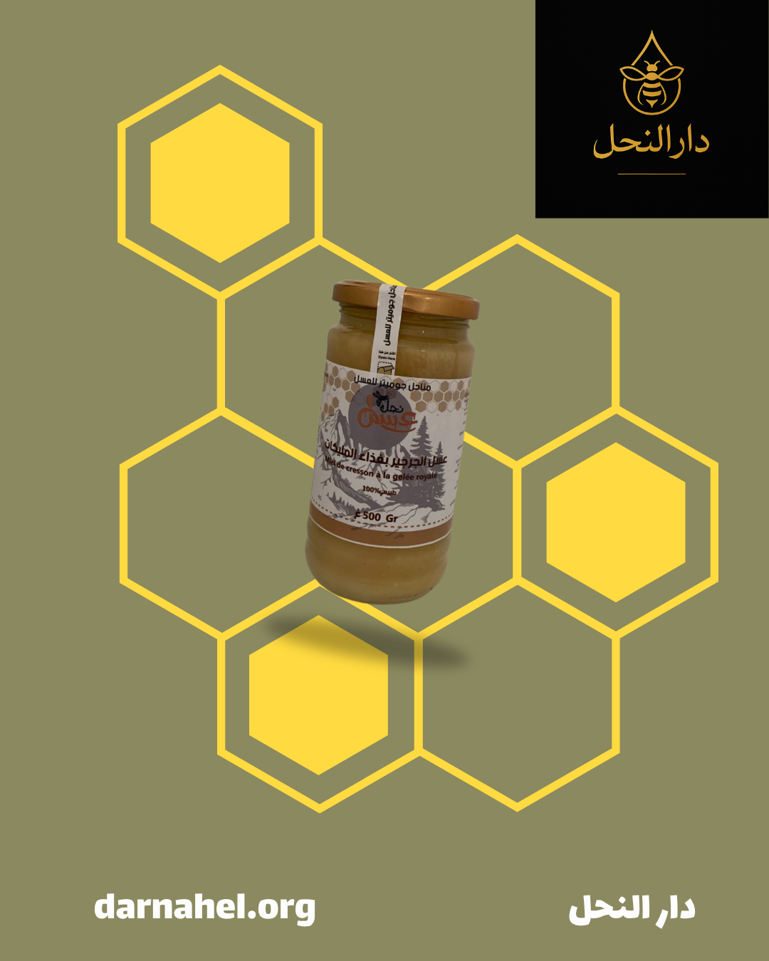 عسل  الجرجير وغذاء الملكات